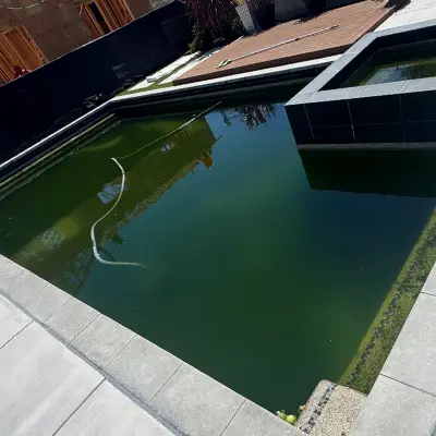 Severe Swamp Pool - Atlantis Pools service