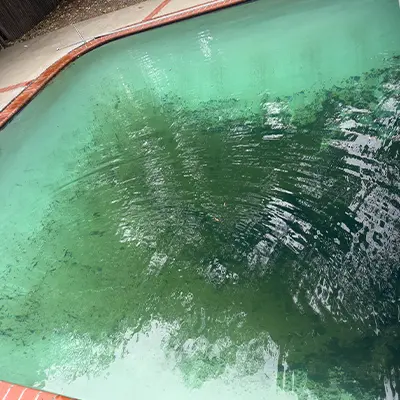 Light Cleanup - Atlantis Pools service