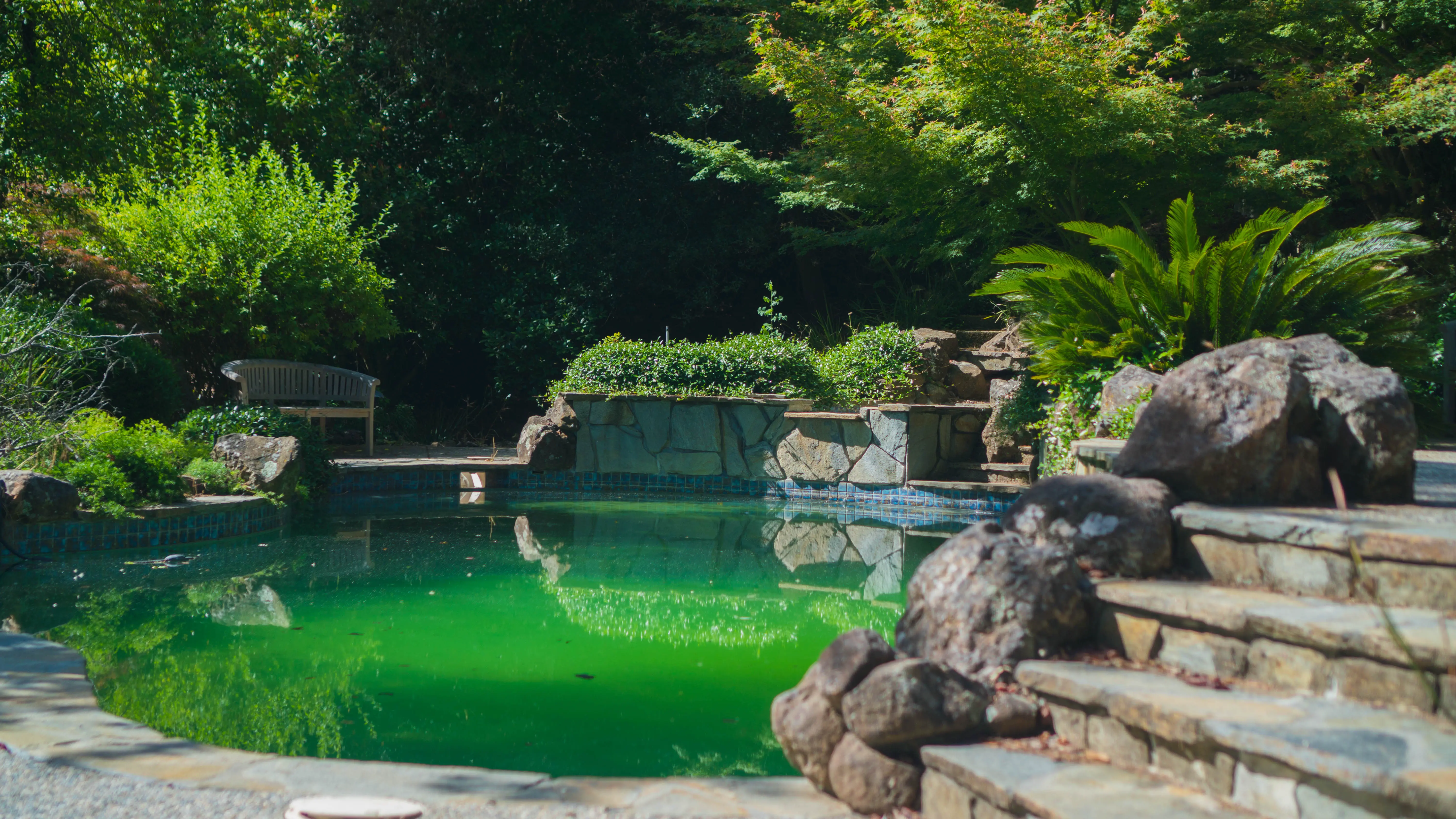 Green pool cleanup and restoration to crystal clear water